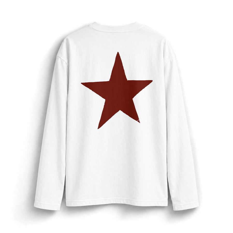 Faded Grunge Star Long sleeve / Y2K Distressed Star Long Sleeve